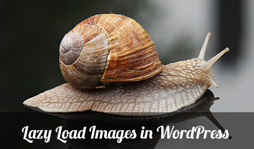 lazy_load_images