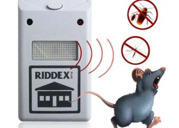 [Đánh giá] Top 8 Máy đuổi chuột được ưa chuộng nhất hiện nay