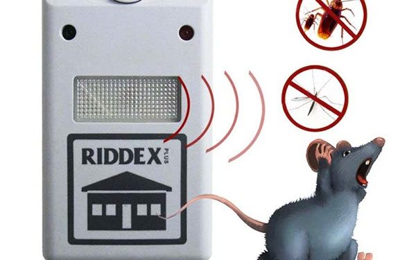 [Đánh giá] Top 8 Máy đuổi chuột được ưa chuộng nhất hiện nay