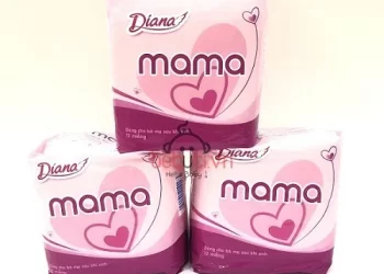 [Đánh giá] Top 5 Bỉm cho mẹ sau sinh được ưa chuộng nhất hiện nay