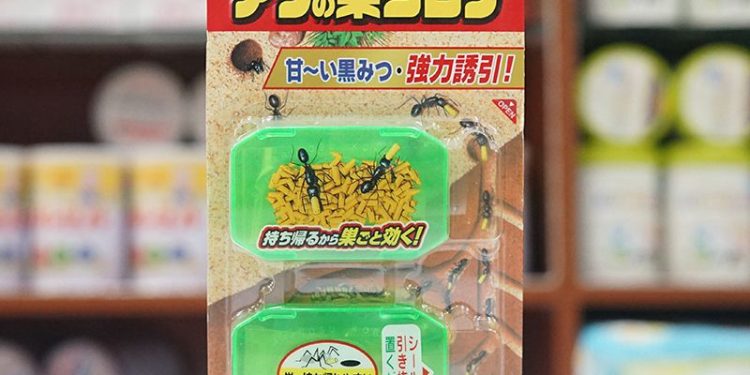 [Đánh giá] Top 5 thuốc diệt kiến nên mua